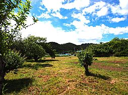 大久野萱窪