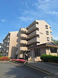 サクラファミリア