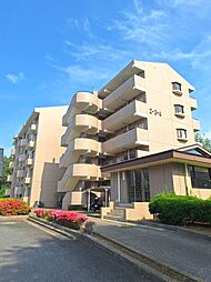 サクラファミリア