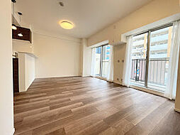 メゾンドヴィル北堀江