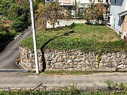 目の前は一面の田んぼが広がります。