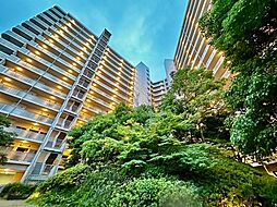 三国の川辺の森リバーガーデン