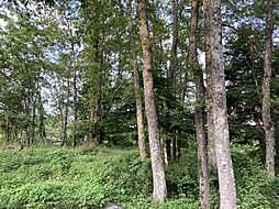 北杜市長坂町大井ヶ森売地