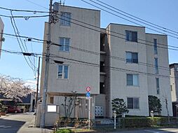 Odense桜 204