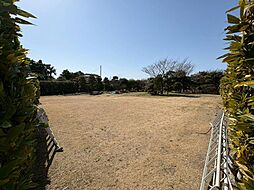白子町浜宿482坪