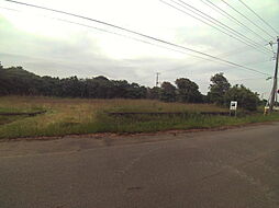 匝瑳市栢田の土地