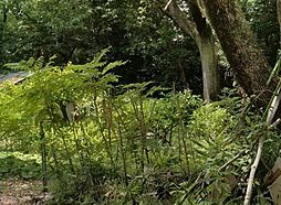 安城市尾崎町池裏・資材置場や家庭菜園に最適です