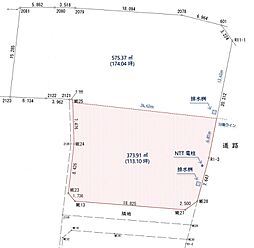 東幡豆町東野岸113坪