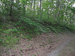 野尻高原大学村、土地828平米