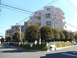 メイツ東大宮 204