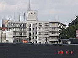 シャトーしんぐう 405