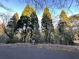 霧島田口　売土地