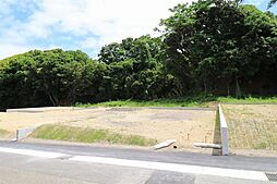 売土地 坂元町/15区画