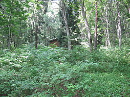 野尻高原大学村、土地1098平米