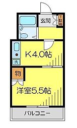 ホワイトハイム