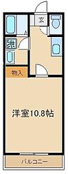 ビオス北朝霞