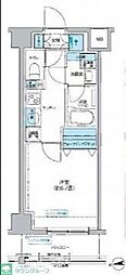 フレンシアノイエ成増