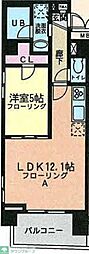 ラフィネ志木