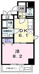アルビレオ志木