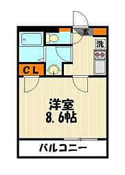 レオネクストパタータ　55197