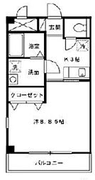 Ａｍｅｎｉｔｙ Ｃｏｕｒｔ