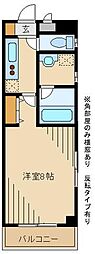 ＰＡＤＤＹ　ＦＩＶＥ（パディーファイブ） 205