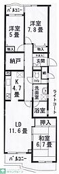 フェニックスコート一橋学園 303