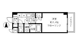 カリスヤマガ 204