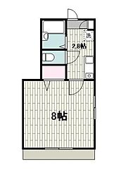 ＳＵＮＮＹ　ＣＯＵＲＴ　Ａ 101