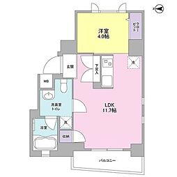 アイルズ松濤 0402