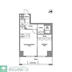 Ｐｒｉｍａ　Ｓｔｅｌｌａ 0402