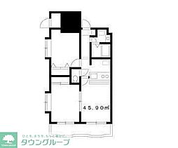 コスモフラワー 205