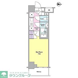 ＣＡＳＳＩＡ両国