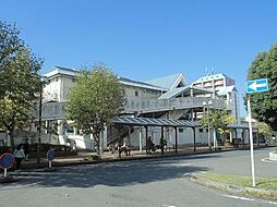 Ｂｌｅｓｓｅｄ　Ｃｏｕｒｔ 203