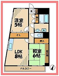 エクセル稲田