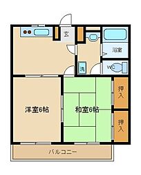 ホリホック