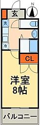 アプリコットステイツ 506