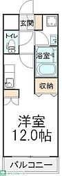 モアルヤタ藤
