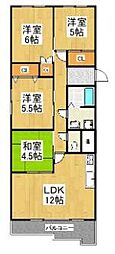 川崎市多摩区菅３丁目