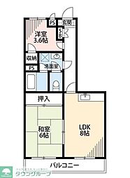 川崎市多摩区菅５丁目