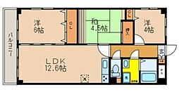 アクシーズグランデ越谷南 203