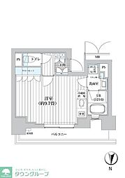 ライオンズフォーシア清澄白河 605