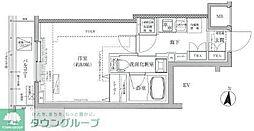 ティモーネ　プレミアムノルド亀戸 702