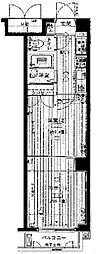 シンシア西荻窪 205