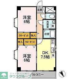 シャイニーヒル 501