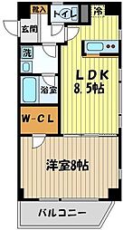 ボナール・Ａ 605