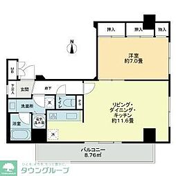 ライオンズマンション一橋学園 510