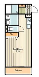 アムールアドニス 101