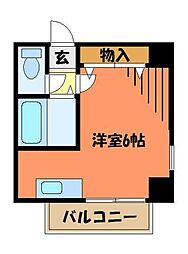 アプロディーテ 501