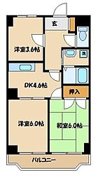 ロイヤルタウン下九沢 103